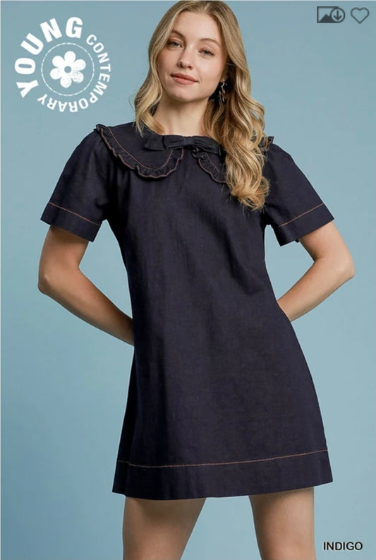 Ruffle collar A line mini dress