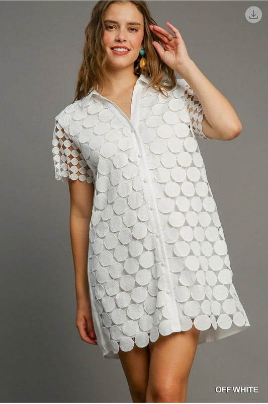Polka dots lace dress A-Line