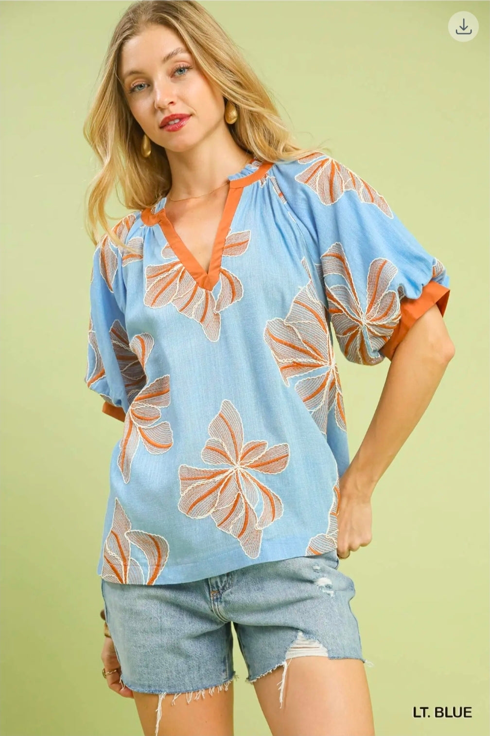 Embroidered vneck top