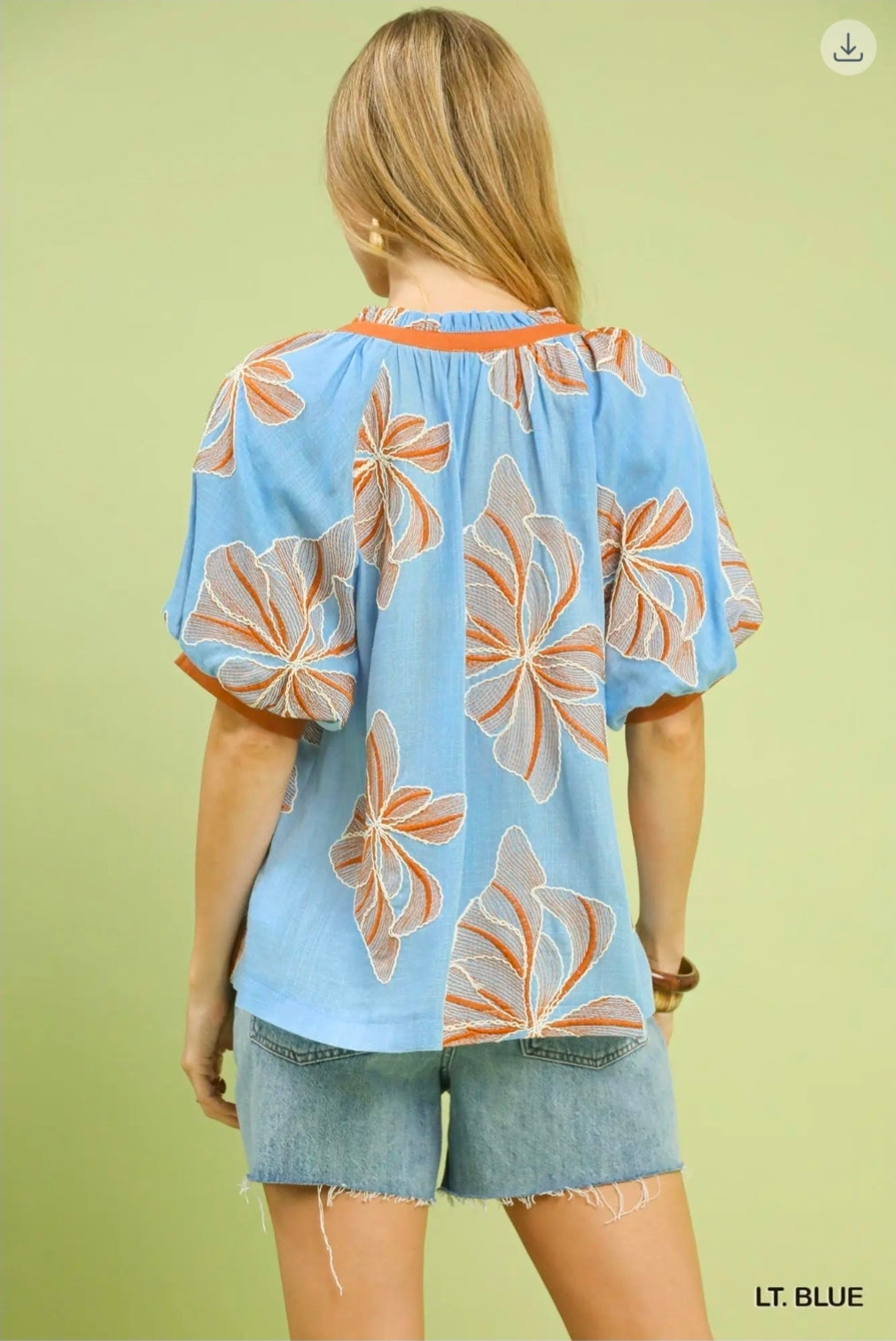 Embroidered vneck top
